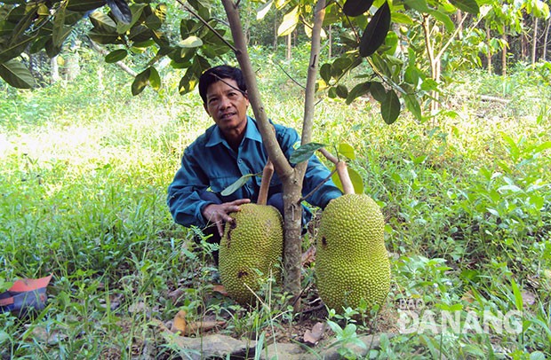 Huyện nông thôn mới Hòa Vang, thành phố Đà Nẵng, vào xuân - ảnh 1